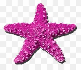 Sea Star Pink - Purple Sea Star Transparent Background Png,Pink Star Png