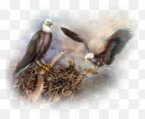 Nesting - Eagle And Nest Painting Png,Nest Png