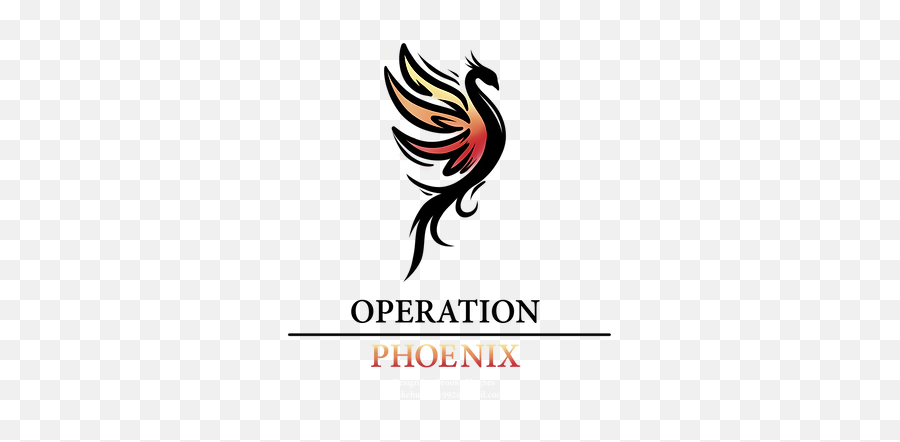 Home Operation Phoenix - Professional Operations Management Png,Phoenix Bird Icon
