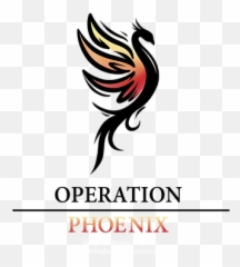 Home Operation Phoenix - Professional Operations Management png