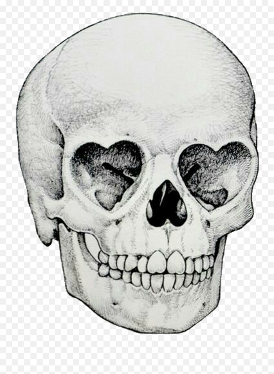 Skull Drawing Tumblr - Skull Transparent Png,Skeleton Face Png