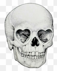 Skull Drawing Tumblr - Transparent png
