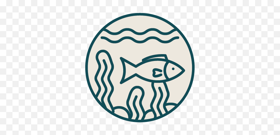 Spyfish Aotearoa U2014 Zooniverse - Hamburger Bahnhof Png,Fish Out Of Water Icon