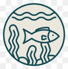 Spyfish Aotearoa U2014 Zooniverse - Hamburger Bahnhof png