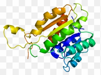 Protein Structure Icon Clipart - Full Size 1062991 Png