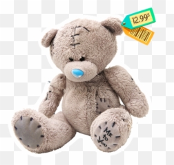 Bear - Teddy png