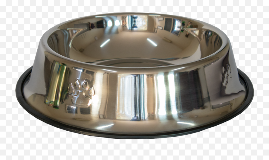 Home Pets Dog Bowl - Dog Bowl Transparent Background Png,Dog Bowl Png