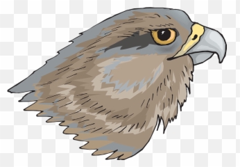 Eagle Head Eye - Bird Eyes Png Transparent,Eagle Head Png