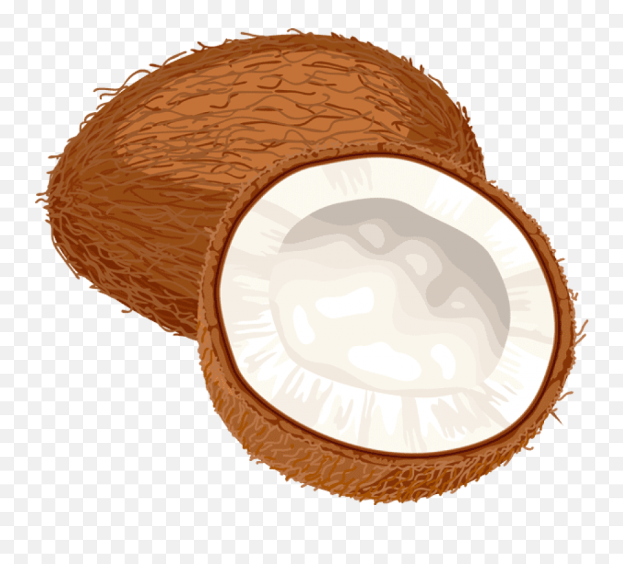 Coconut Oil Miracle - Coconut Clipart Png,Coconut Png