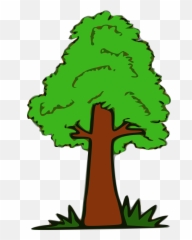 Simple Picture Of Tree - png
