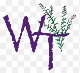 Image - Willow Tree Clipart Full Size Clipart 1584489 Willow Tree Png,Weeping Willow Png