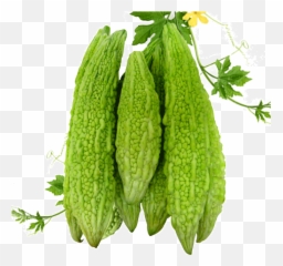 Bitter Gourd Png 3 Image - Bitter Gourd Vegetable Png,Gourd Png