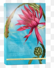 Tejasvi Brightening U0026 Lightening Sheet Mask For Glowing Skin - Tejasvi Brightening Lightening Sheet Mask Png,Lightening Png