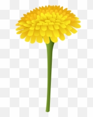 Dandelion Png Clip Art Imageu200b - Clipart