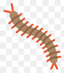Centipede Icon Of Flat Style - Millipedes Png,Centipede Png