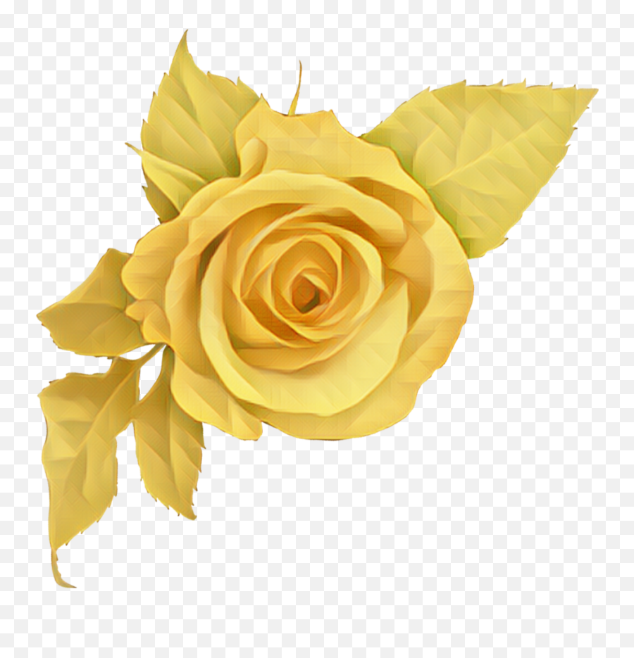 Yellow Rose Flower Yellowrose - Sticker By Marras Most Beautiful Flowers Roses Png,Yellow Rose Transparent