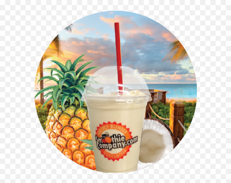 Pina Colada Archives - Smoothie Company Lifestyle Pineapple Png,Pina Colada Png