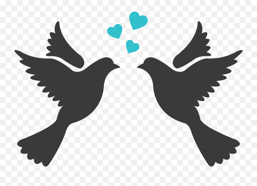 Lovebird Silhouette Drawing Clip Art - Drawing Love Bird Png,Love Birds Png