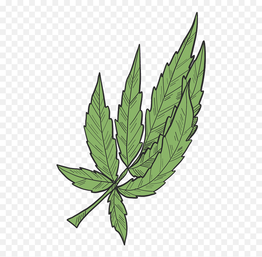 Marijuana Clipart Free Download Transparent Png Creazilla - Illustration,Marijuana Leaf Png