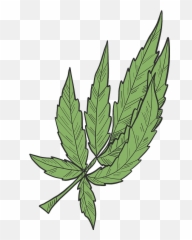 Marijuana Clipart Free Download Transparent Png Creazilla - Illustration