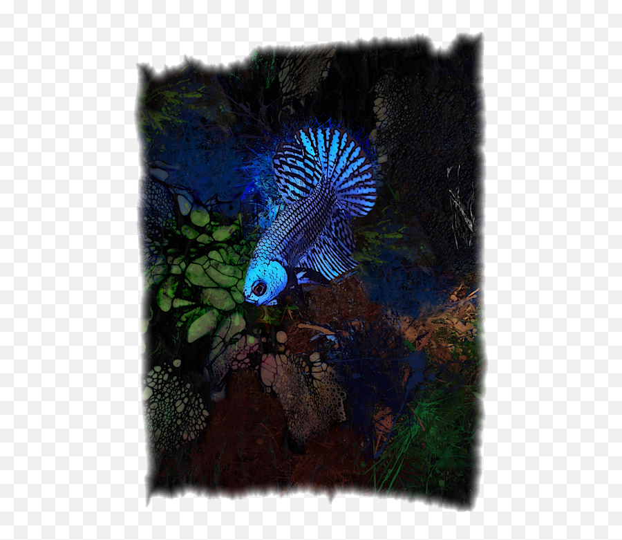 Midnight Blue Neon Betta Fish Portrait Carry - All Pouch Neon Betta Fish Png,Betta Fish Png
