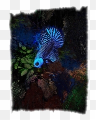 Midnight Blue Neon Betta Fish Portrait Carry - All Pouch Neon Betta Fish Png,Betta Fish Png