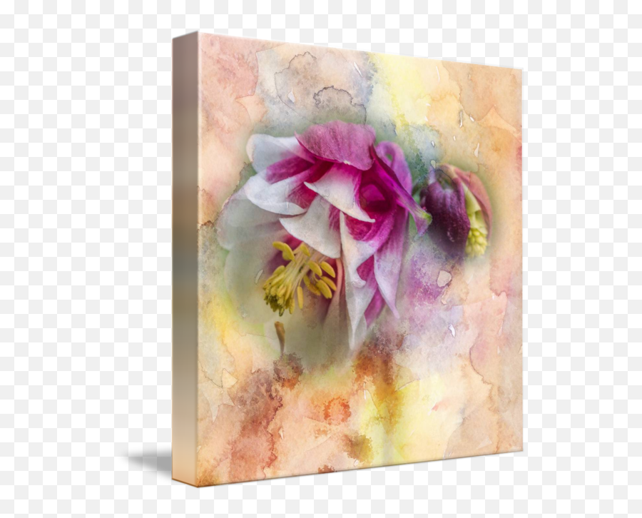 Columbine Watercolor Texture Square - Moth Orchid Png,Watercolor Texture Png