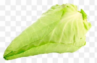 Babyleaves - Chard png