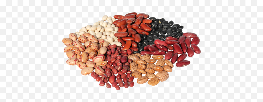 Michigan Dry Bean Industry Donates Seven Tons Of Beans For - Michigan Dry Beans Png,Beans Transparent
