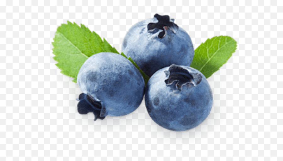 Blueberry Clipart Juniper Berry - Blueberry And Strawberry Nutrition Png,Berry Png