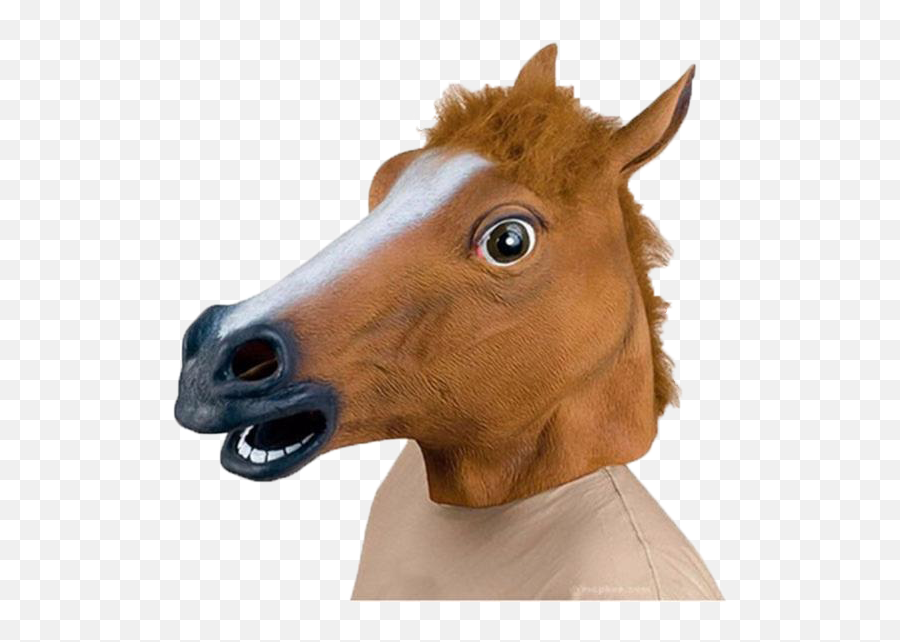 Halloween Horse Mask - Horse Head Mask Png,Horse Mask Png