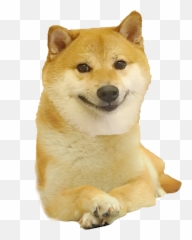 Download Dogelore Png U0026 Gif Base - Hokkaido Dog,Doge Face Png