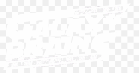 Galaxy Brains Super Smash Bros Ultimate Tournament - Language png