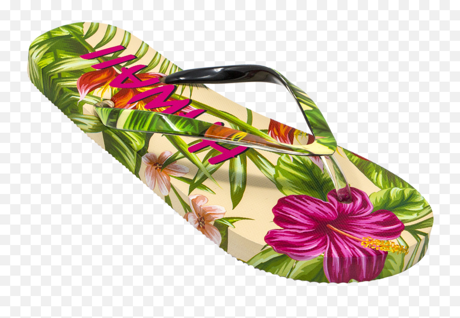 Robin Ruth - For Women Png,Hawaiian Flower Icon