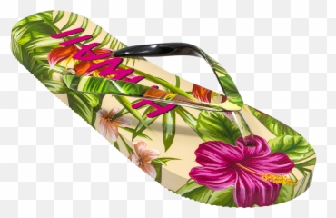 Robin Ruth - For Women Png,Hawaiian Flower Icon