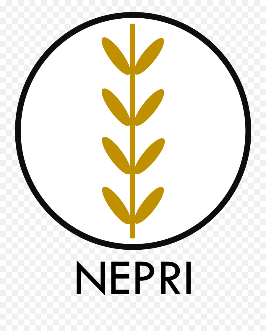 Introduction To Nepri Finance The Next - Gen Defi Platform Language Png,Decentralized Icon