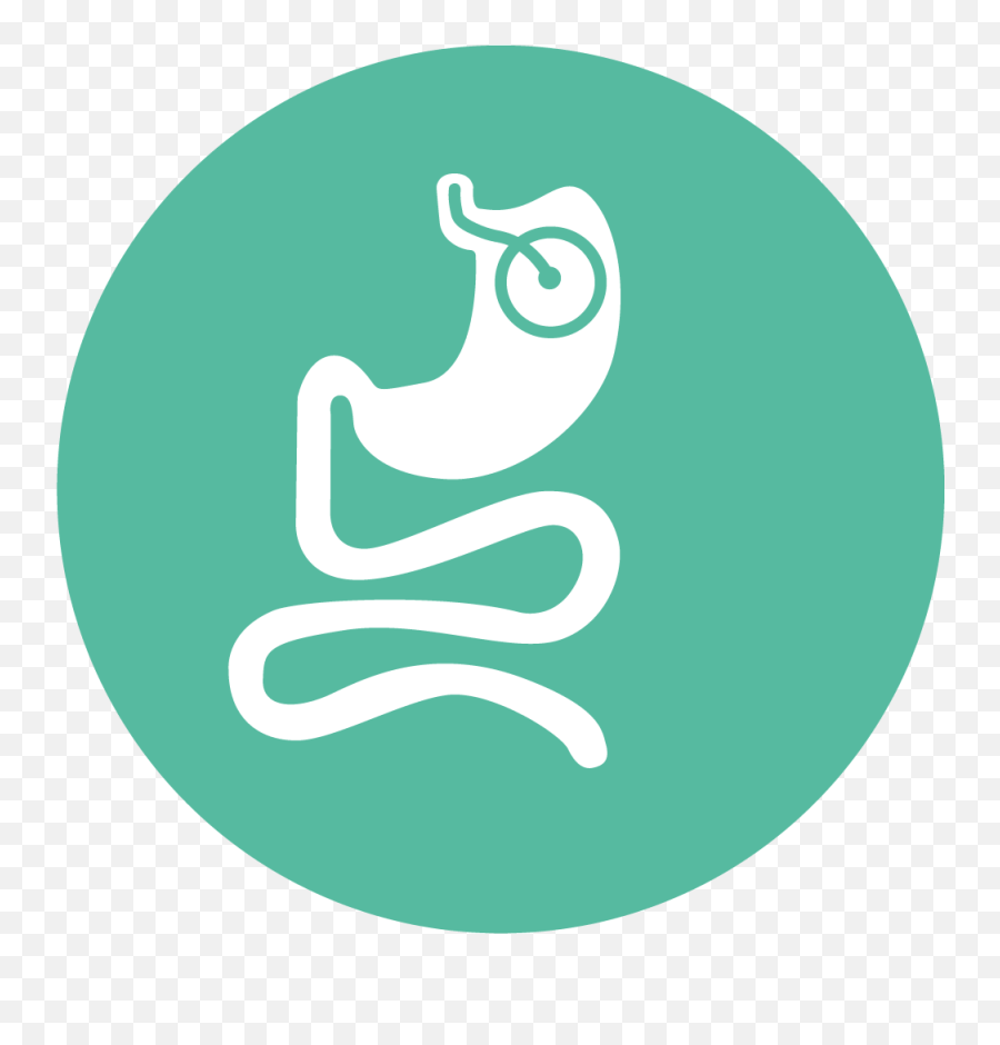 Private Gastric Balloon Surgery Intragastric Png Baloon Icon