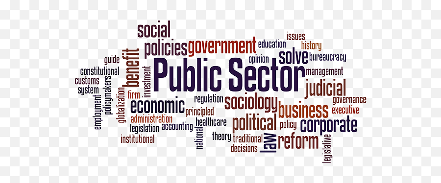 Open Journal Systems Of Social And Policy Issues - Public Sector Png,Orcid Icon