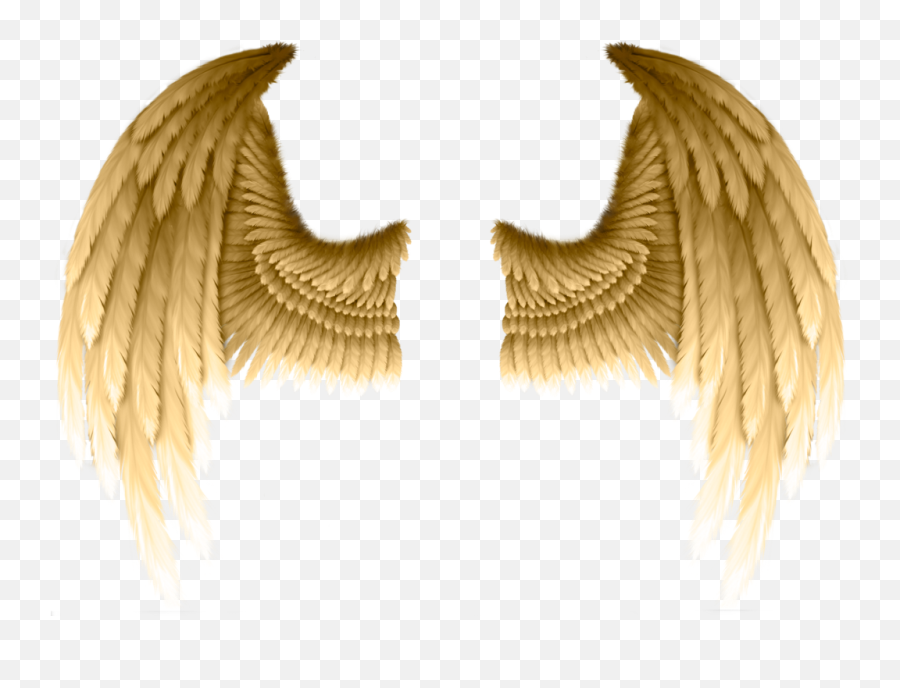 Download Freetoedit Ftestickers Dt Angelwings Wings - Transparent Gold Angel Wings Png,Gold Wings Png