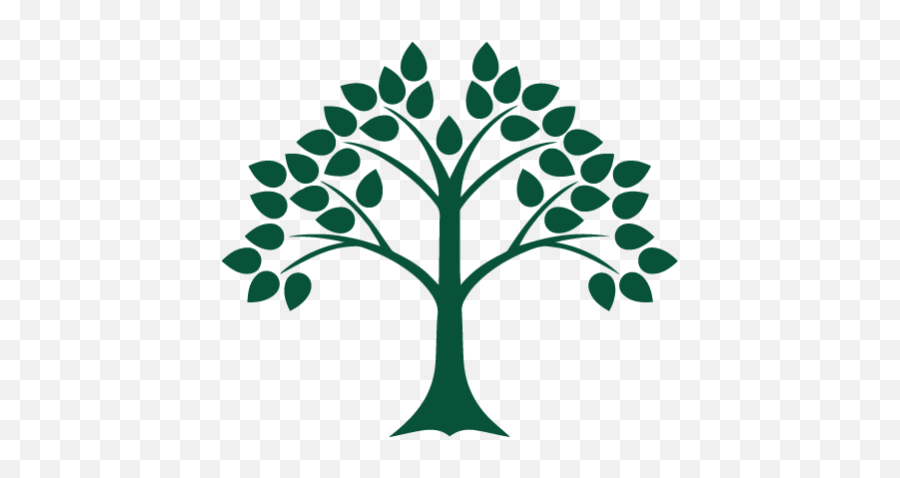 Cropped - Splashpng U2013 Edlaw New England Pllc Tree Of The Knowledge Of Good And Evil,Splash Png