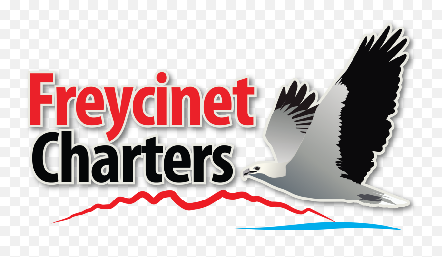 Freycinet Charters U2014 Home - Language Png,Icon Bay Byond
