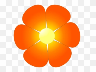 Orange Blossom Drawing - Transparent Flower Clipart No Background Png,Orange Flowers Png