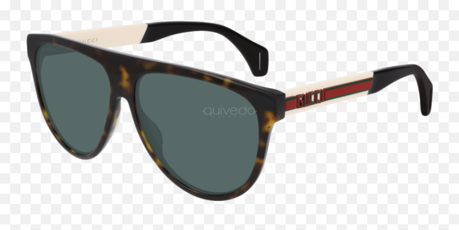 Eyewear Gucci Seasonal Icon Gg0462s - 003 Gucci Sunglasses Gg0462s 001 Png,Icon Ray Ban
