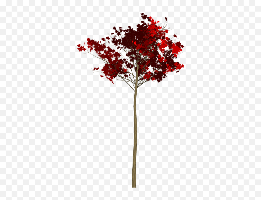 Maple Tree Painted - Maple Leaf Png,Red Tree Png