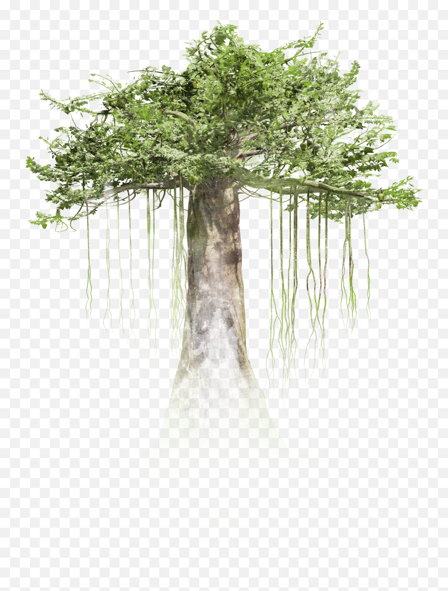 Background Free Mob Pc The Trees In Forest Png