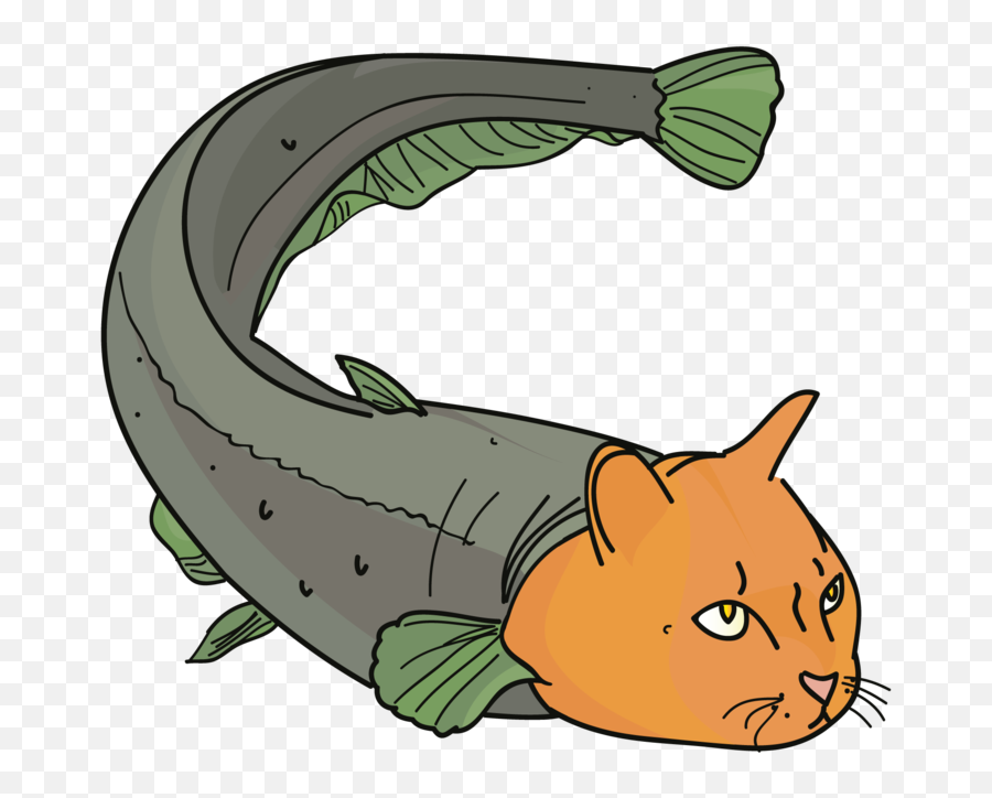 Herding Catfish Time To Cast A Wider Net Over The - Cat Fish Actual Cat Png,Catfish Png