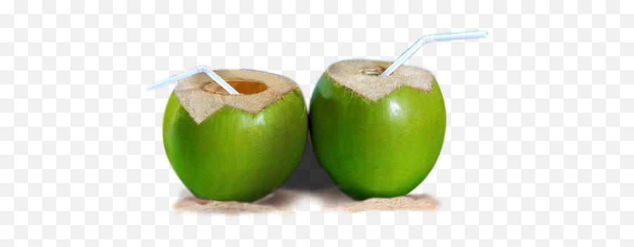Fresh Buko Png - Coconut Water Image Png,Coconut Png
