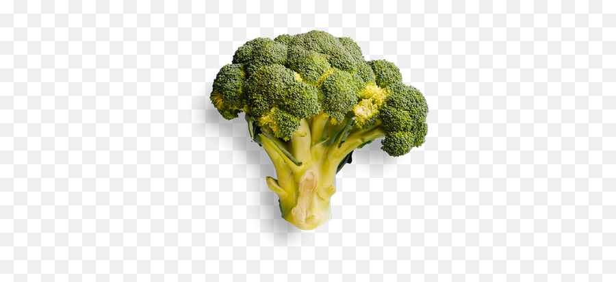Pure Kitchen Elgin - Broccoli Png,Broccoli Transparent