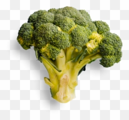 Pure Kitchen Elgin - Broccoli png
