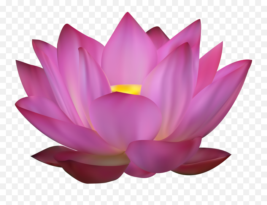 Download Lotus Png Image With No - Flower Pink Lotus Png,Lotus Png